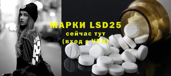 ГАЛЛЮЦИНОГЕННЫЕ ГРИБЫ Алексин