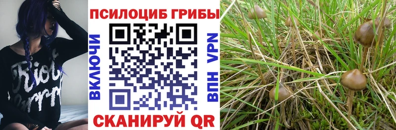 Псилоцибиновые грибы прущие грибы  цены наркотик  Дно 