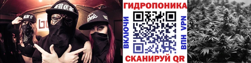 Бошки марихуана VHQ  Дно 